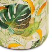 ����� Smalto Vivo ������� 43�� 38218