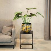 ����� ����� Smalto Vivo ������ 30/26/22�� 38223