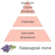 ������ ��� ��������� Aromas for the home Lavender fields 500�� 115000