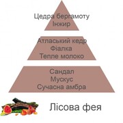 ������ ��� ��������� Aromas for the home Woodland Fairy 500�� 115160