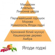 ������ ��� ��������� Aromas for the home Goji Berries 500�� 115161