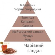 ������ ��� ��������� Aromas for the home Enchanting Sandalwood 500�� 115349