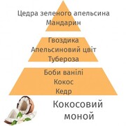 ������ ��� ��������� Aromas for the home Coconut Monoi 500�� 115362