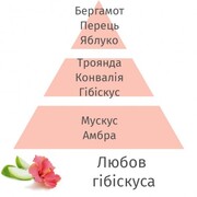 ������ ��� ��������� Aromas Hibiscus Love 200�� 6248