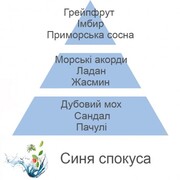 ������ ��� �������� Aromas Blue Seduction 200�� 7774