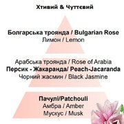 ������������� Ice Cube Diffusers Underneath the Magnolias 100�� 7737