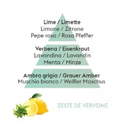 ������������ Ice Cube Diffusers Zest Of Verbena 100�� 7751