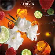 ������������� Ice Cube Diffusers Orient Star 100�� 7755