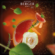 ������������� Ice Cube Diffusers Exquisit Sparkle 100�� 7756