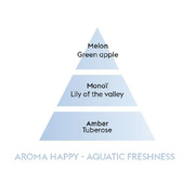 ���������� � �������� Gift Baskets Aroma Happy 250�� 4813