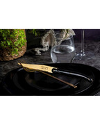 ����� ����� ��� ������ Prestige 22,5�� PresSteakGoudZw