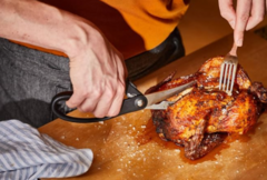 ������ ��� ����� Essential Poultry Shears 23�� 1023819