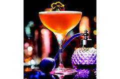 ����� ��� �������� Primeur 240�� 67105