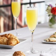 ����� ��� ������������ Reserva 170�� 67076