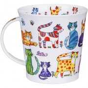 ������ Cairngorm Colourful Crew cat 480��