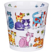 ������ Cairngorm Colourful Crew cat 480��