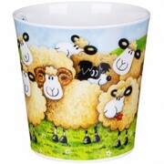 ������ Cairngorm Follow me follow ewe farm 480��