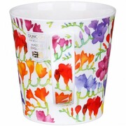������ Cairngorm Floral Fiesta freesia 480��