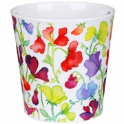 ������ Cairngorm Floral Fiesta sweat pea 480��