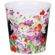 ������ Cairngorm Pretty paws black&white 480��