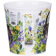 ������ Cairngorm Pretty paws tabby 480��