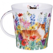 ������ Cairngorm Pretty paws tortoiseshell 480��