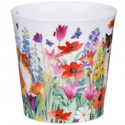 ������ Cairngorm Pretty paws tortoiseshell 480��