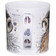 ������ Orkney Shaggy sheep swaledale 350��