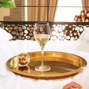 ���� ������� ��� ������������ Exaltation 300�� Q1151/1