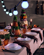 ����� ������� APY 6/18 V9608