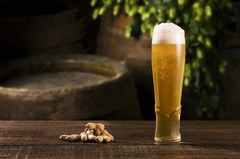 ����� �������� ��� ���� Craft 455�� 420748-4