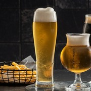 ����� �������� ��� ���� Craft 455�� 420748-4