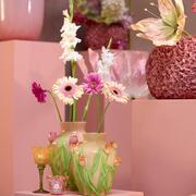 ���� Tulip 31�� 5720743