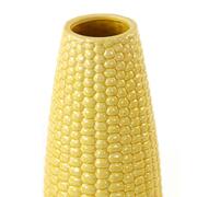 ���� Corn 41�� 5835861