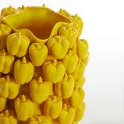 ���� Bellpepper 47�� 5879160