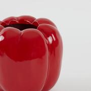 ���� Bellpepper 30,5�� 5836417