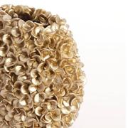 ���� Phylia 46,5�� 5886085