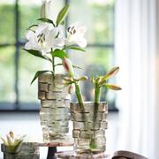 ���� Douro 30�� 5867527