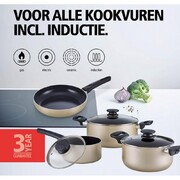 ����� ������ Indu+ 30004651