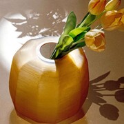 ���� Nebula Amber S 23�21�24�� U30370109N24