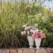 ���� Crocus white 26,5�� U30884108A83