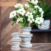 ���� Anomala 24�� U30917108A83