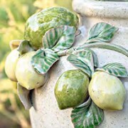 ���� Meridia 26,5�� U30889108P00