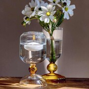 ���� Versavice amber 20�� U30959109N24