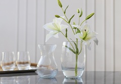 ���� Asta Ribs 18�� 35446