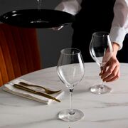 ����� ��� ���� Exaltation 550�� V6189