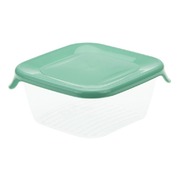 ��������� ������� 250�� �1466