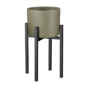 ϳ������� ��� ������ Ascot 25�� 1006645