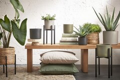 ��������� ��� ������ Ascot 40�� 1119027