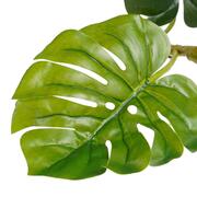 ����� ����������� �������� 54�� 1067230